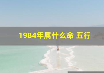 1984年属什么命 五行